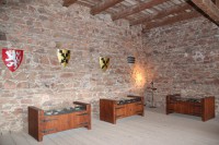 /album/fotogalerie-hrad-litice-nad-orlici-zamberk/hrad-litice-archeologicke-nalezy-ve-vstupnim-sale-jpg/